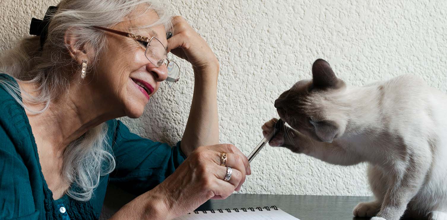 Old lady with glasses playing with a white cat